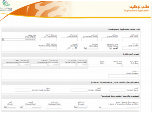 طريقة التقديم على وظائف وزارة السياحة 300x227 - طريقة التقديم على وظائف وزارة السياحة