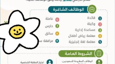 وظائف جمعية المنصورة الخيرية للخدمات الإنسانية