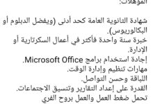 وظيفة سكرتيرة تنفيذية