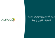يوم وظيفي شركة ألفا جدة
