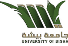وظائف جامعة بيشة