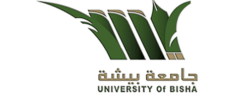 وظائف جامعة بيشة